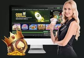 Cara naik level VIP VIB55 secara otomatis dari Silver hingga Diamond dengan keuntungan berlipat